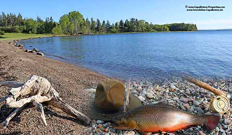 Angeln und Fliegenfischen auf Cape Breton Island, Nova Scotia, Kanada