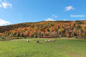 Margaree Valley Cape Breton Island
