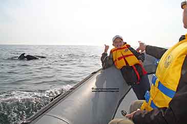 Wal Beobachtung vor Cape Breton Island Nova Scotia Kanada